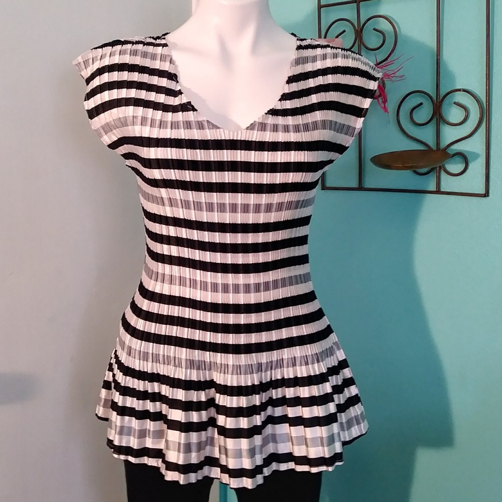 Milcimo Women's Shirt Accordion Fit and Flare sz S